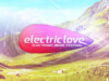 Electric Love 2013